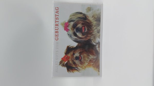 Geburtstagskarte Hunde